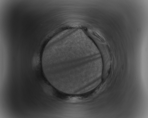 X0000087560407200705251804