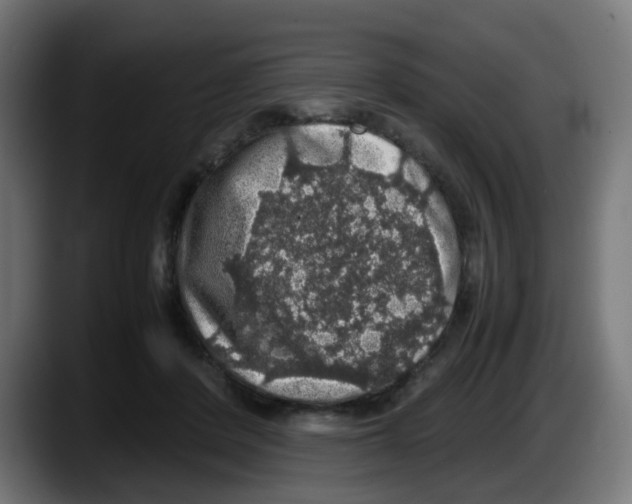 X0000087560408200705251804