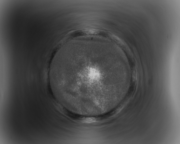 X0000087560409200705251804