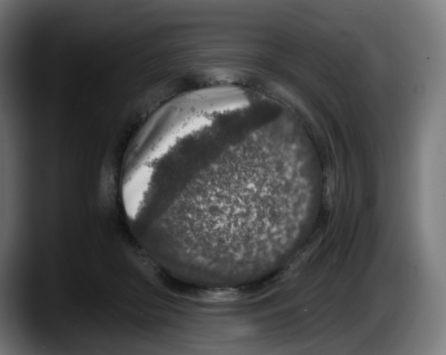 X0000087560410200705251804