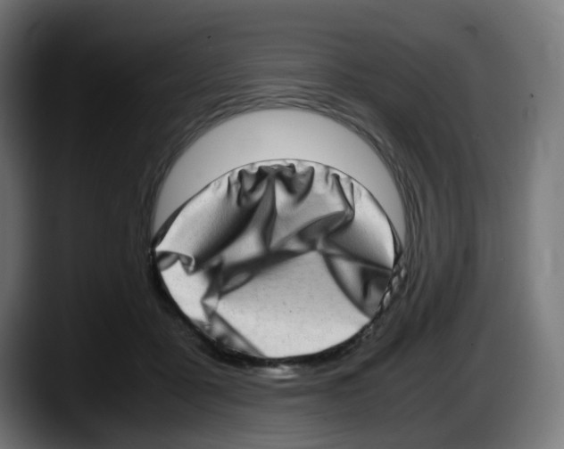 X0000087560411200705251804