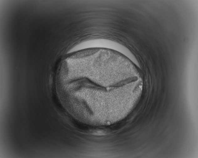 X0000087560412200705251804