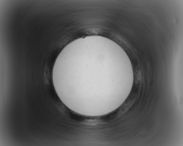 X0000087560414200705251804