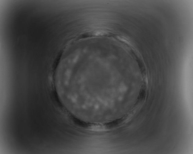 X0000087560415200705251804