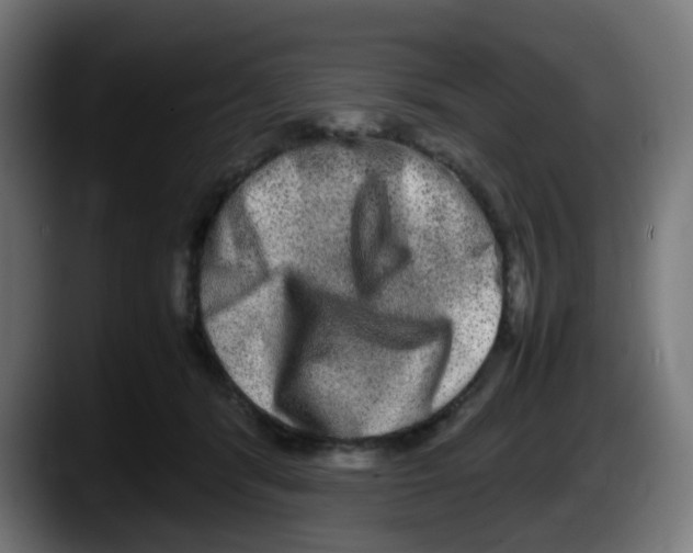 X0000087560416200705251804