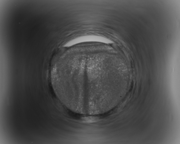 X0000087560417200705251804