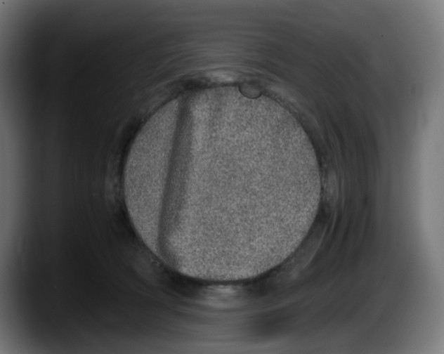 X0000087560418200705251804