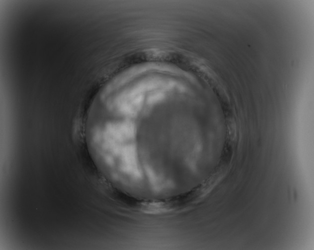 X0000087560419200705251804