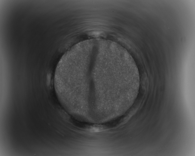 X0000087560420200705251804