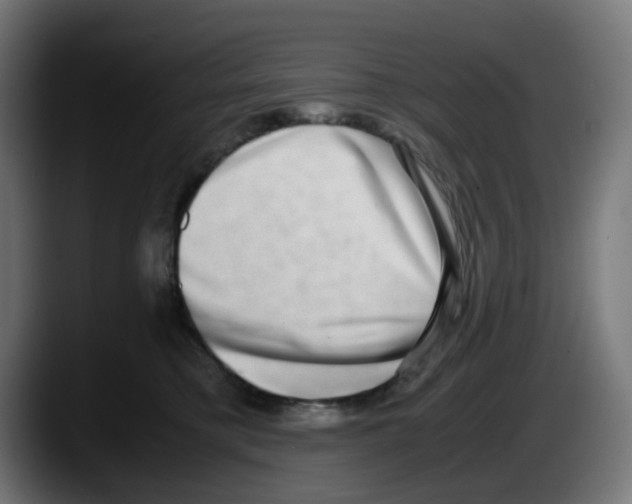 X0000087560421200705251804