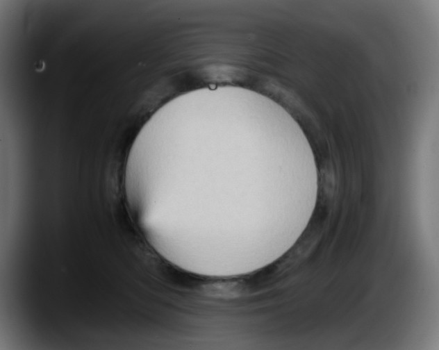 X0000087560422200705251804