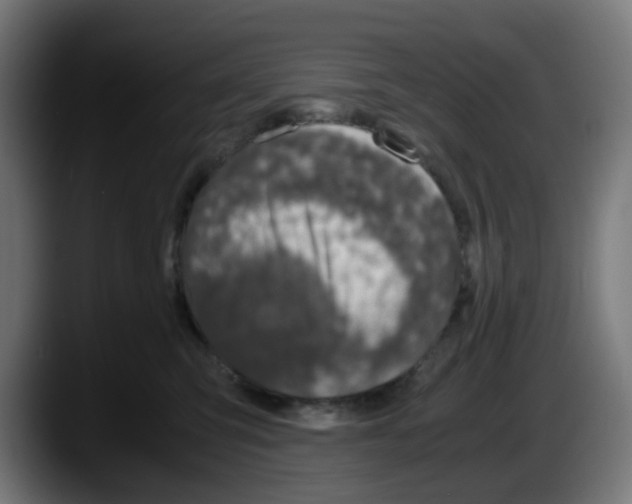 X0000087560423200705251804
