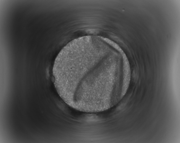 X0000087560424200705251804