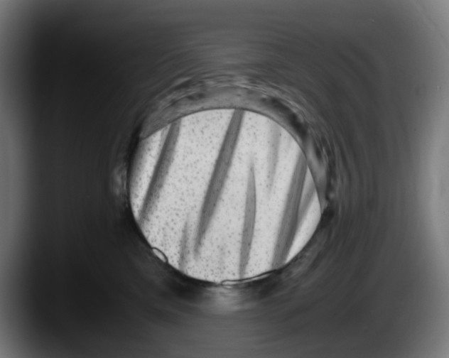 X0000087560425200705251804