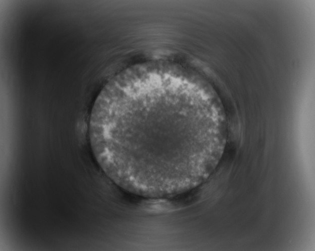 X0000087560427200705251804