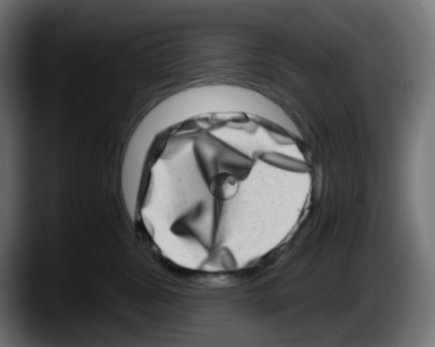 X0000087560428200705251804