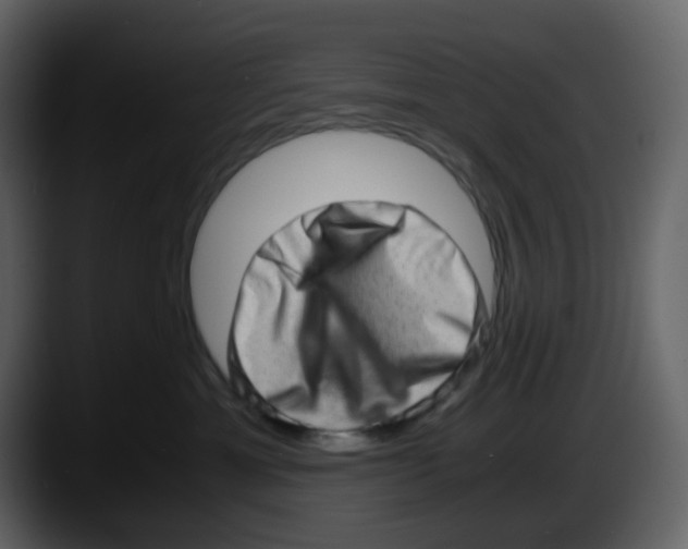 X0000087560429200705251804
