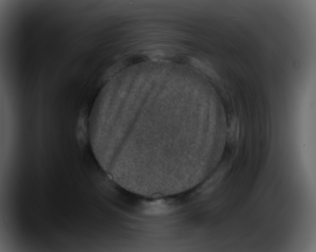 X0000087560430200705251804