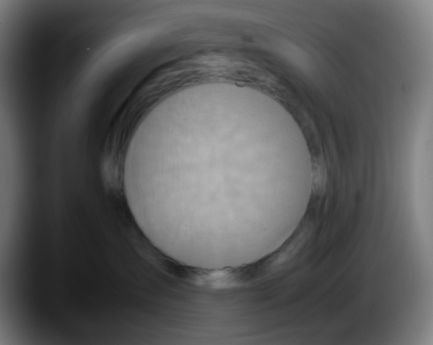 X0000087560431200705251804