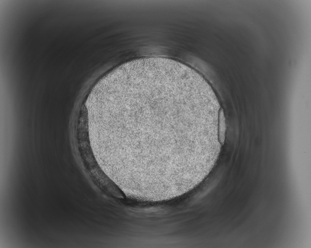 X0000087560433200705251803