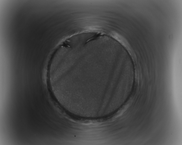 X0000087560434200705251803