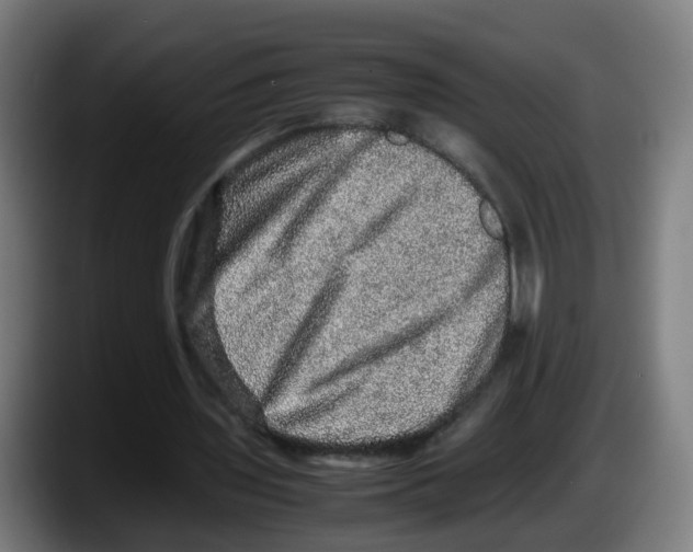 X0000087560435200705251803