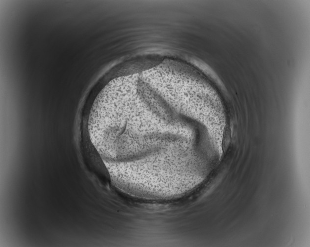 X0000087560436200705251803
