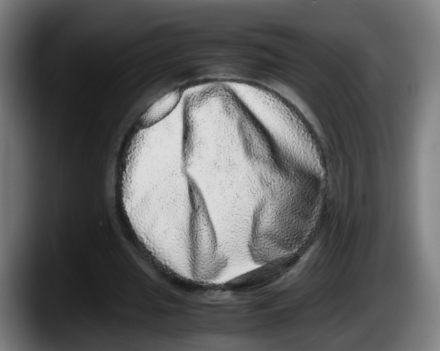 X0000087560437200705251803