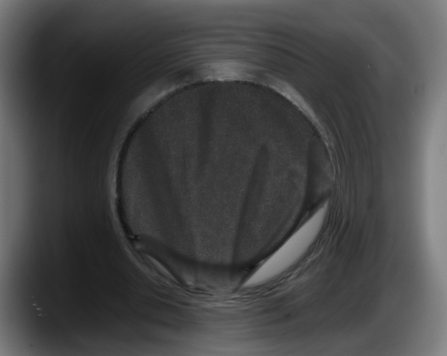 X0000087560438200705251803