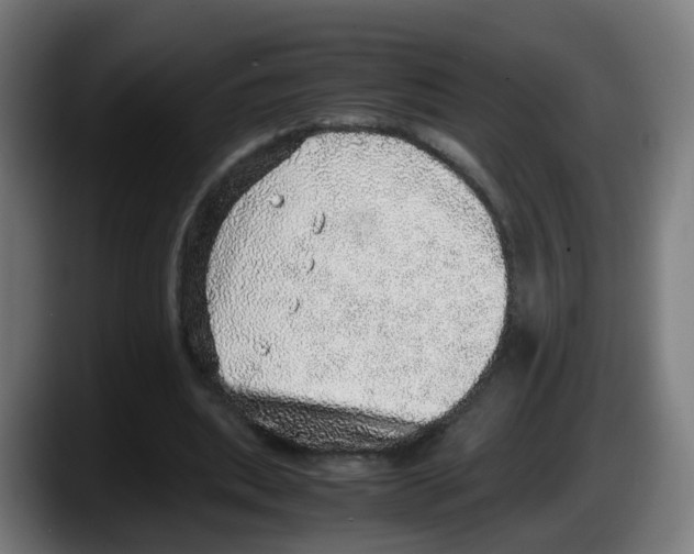 X0000087560439200705251803