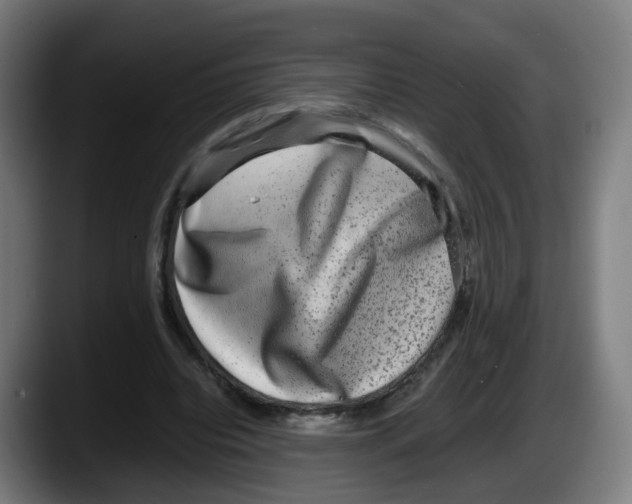 X0000087560440200705251803