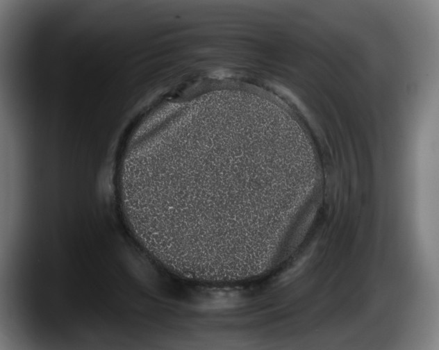 X0000087560443200705251803