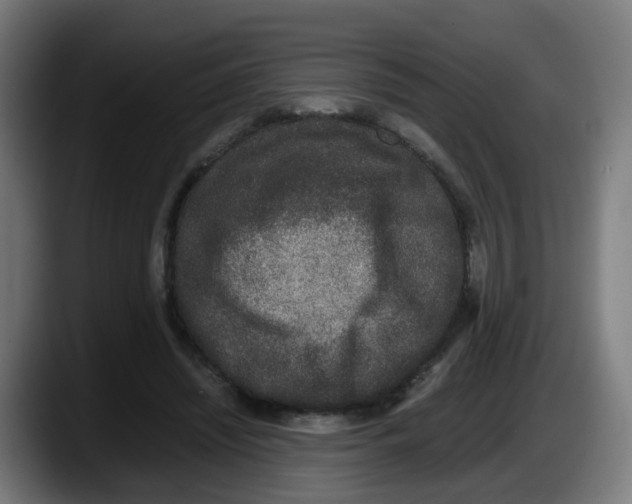 X0000087560444200705251803