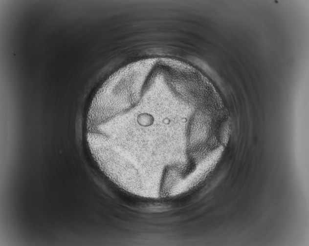 X0000087560445200705251803