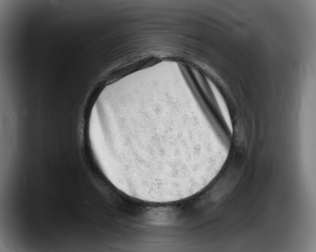 X0000087560446200705251803