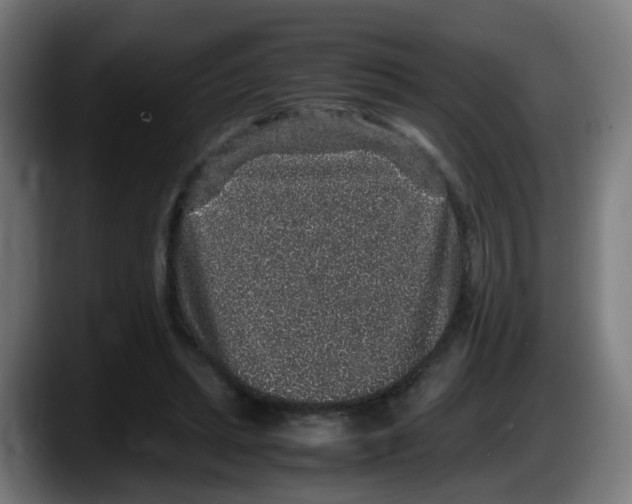 X0000087560447200705251803