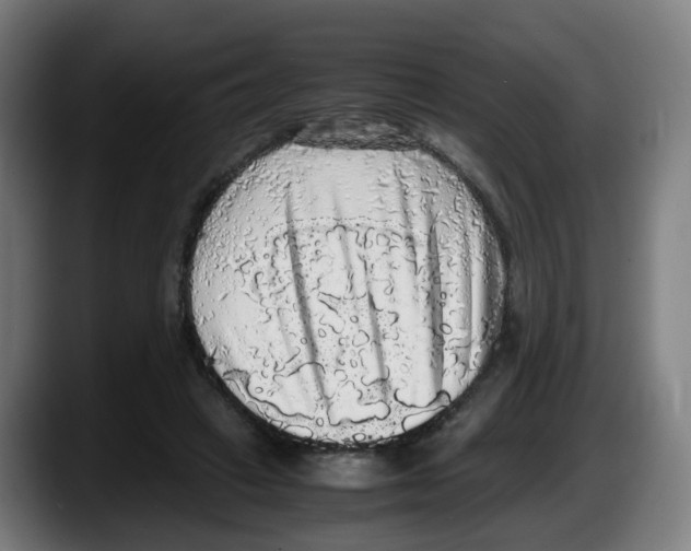 X0000087560449200705251803