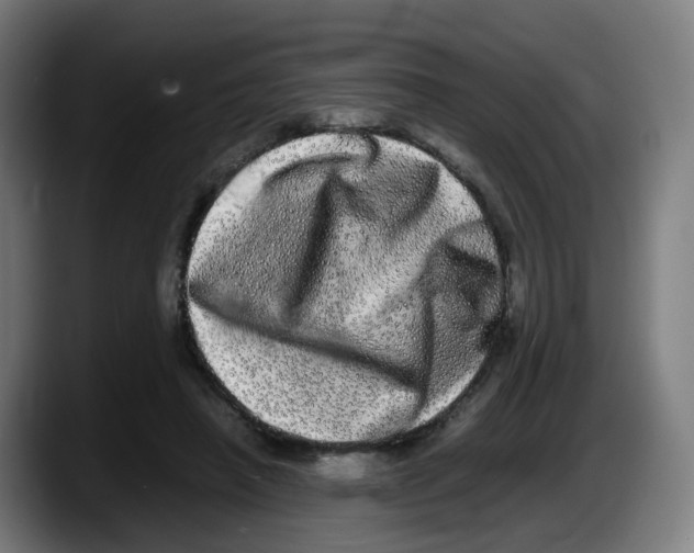 X0000087560450200705251803