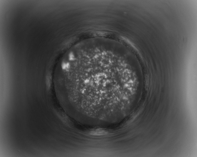 X0000087560451200705251803