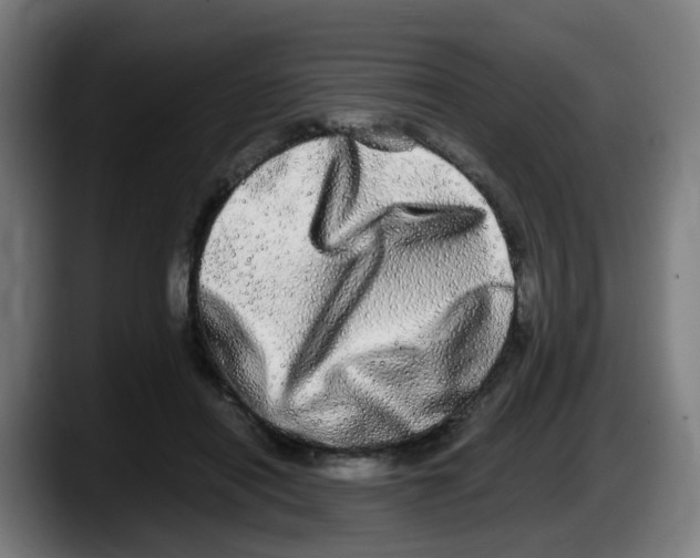 X0000087560454200705251804