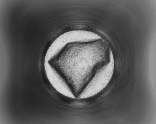 X0000087560455200705251804