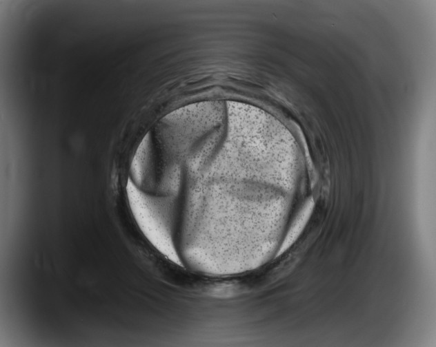 X0000087560456200705251804