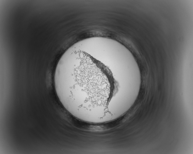 X0000087560457200705251804