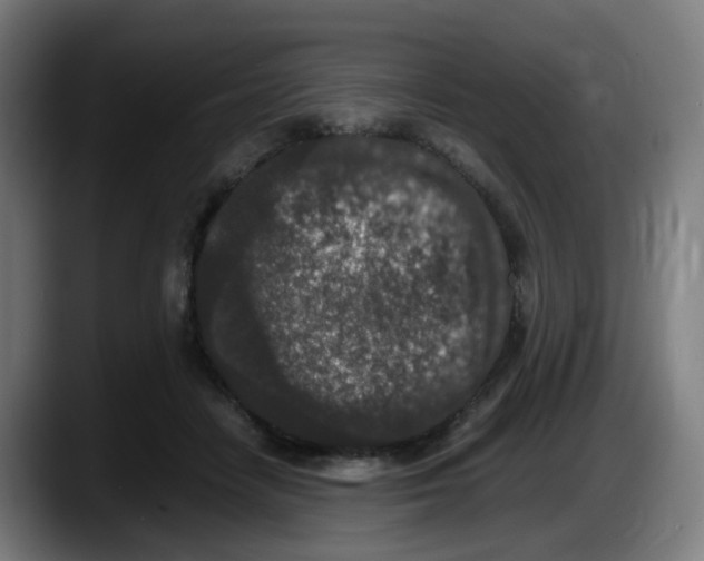 X0000087560458200705251804