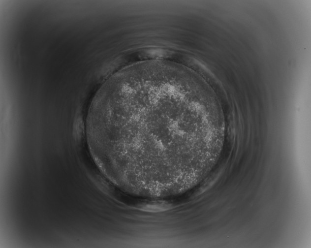 X0000087560459200705251804