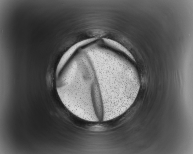 X0000087560460200705251804