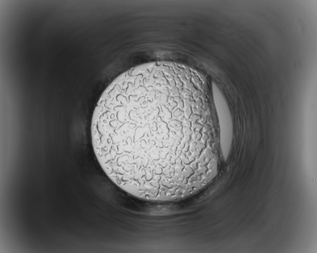 X0000087560461200705251804