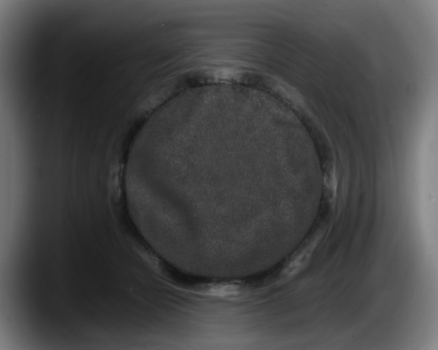 X0000087560462200705251804
