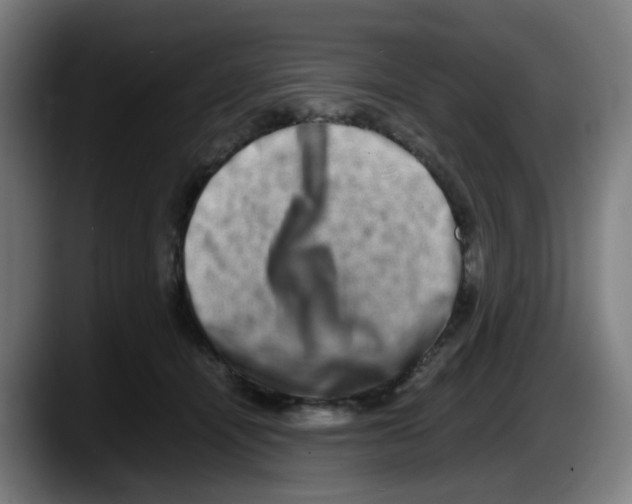 X0000087560464200705251804