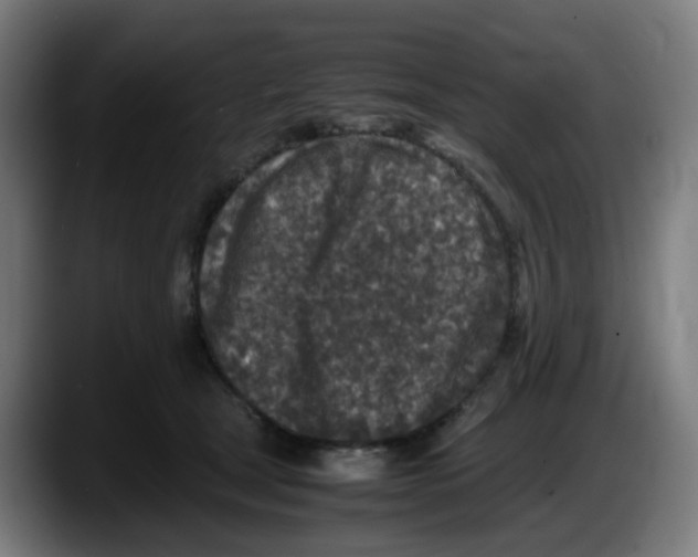 X0000087560465200705251804